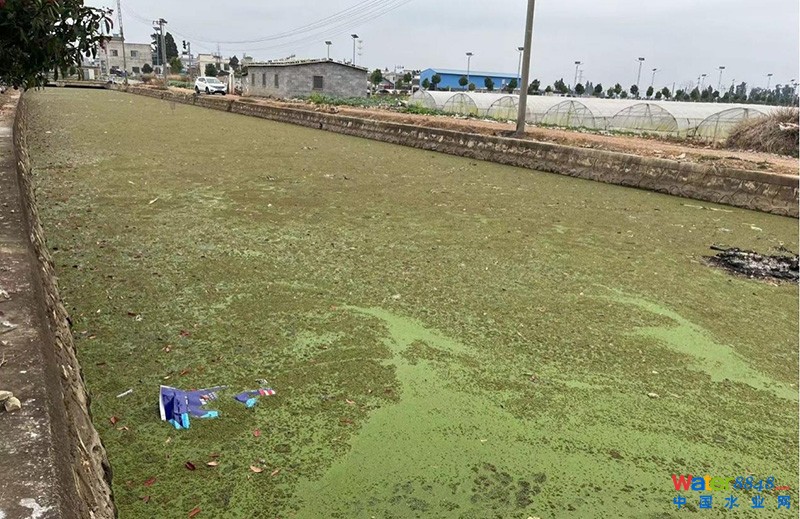 κ׺ǰB(ti)h(hun)־ֹD