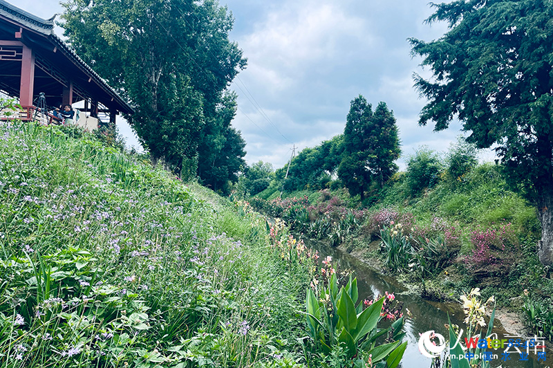 վW(wng)ӛ ̺Ɣz